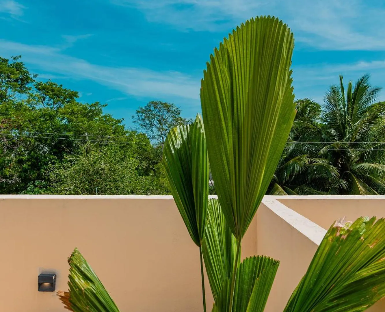 Hotel Alma De Zorro Bacalar